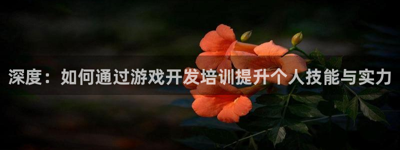 杏盛主管是谁：深度：如何通过游戏开发培训提升个人技能与实力