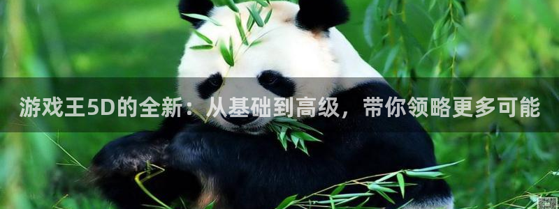 杏盛登录平台：游戏王5D的全新：从基础到高级，带你领略更多可