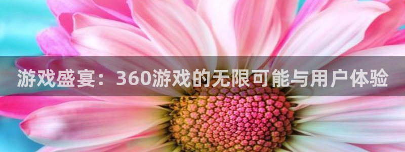 杏盛：游戏盛宴：360游戏的无限可能与用户体验