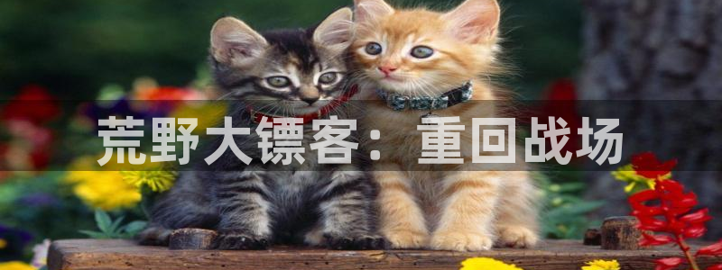 杏盛主管是谁