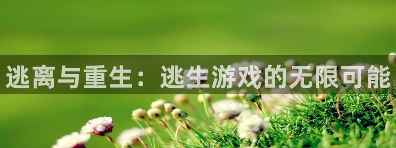 杏盛平台官网注册登录：逃离与重生：逃生游戏的无限可能