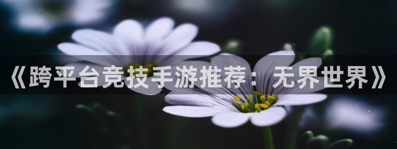杏盛平台代理：《跨平台竞技手游推荐：无界世界》
