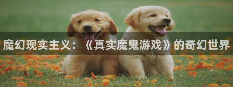 杏盛登录地址：魔幻现实主义：《真实魔鬼游戏》的奇幻世界