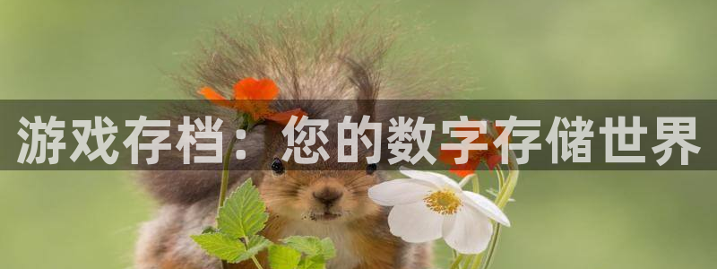 杏盛登录下载：游戏存档：您的数字存储世界