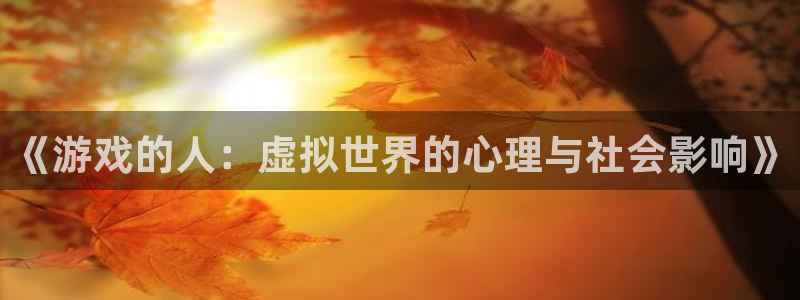 杏盛登录地址：《游戏的人：虚拟世界的心理与社会影响》