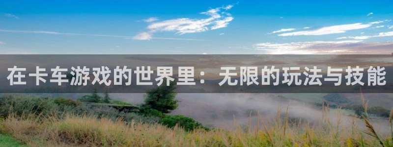 杏盛主管