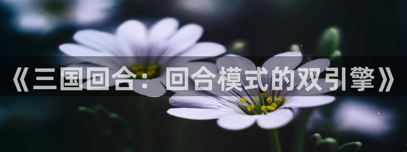 杏盛平台代理