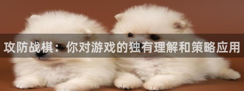 杏盛登录注册：攻防战棋：你对游戏的独有理解和策略应用