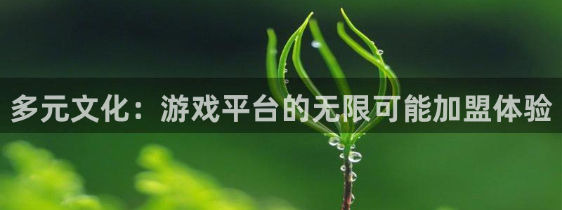 杏盛平台官网注册登录