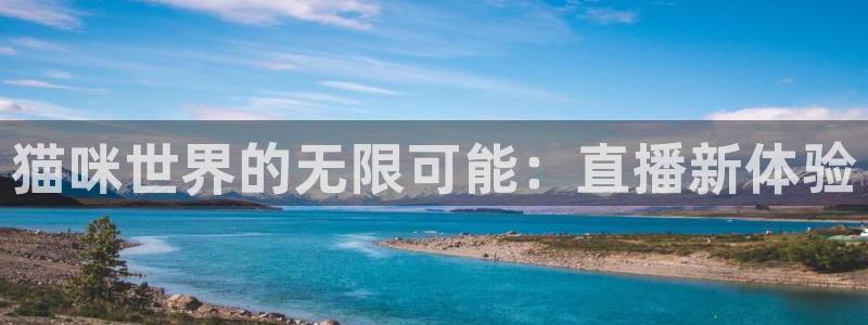 9255tv直播nba在线观看