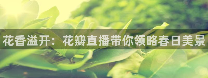 9255tv直播无插件nba：花香溢开：花瓣直播带你领略春日美景