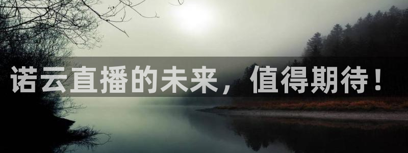 9255tv直播nba在线观看：诺云直播的未来，值得期待！